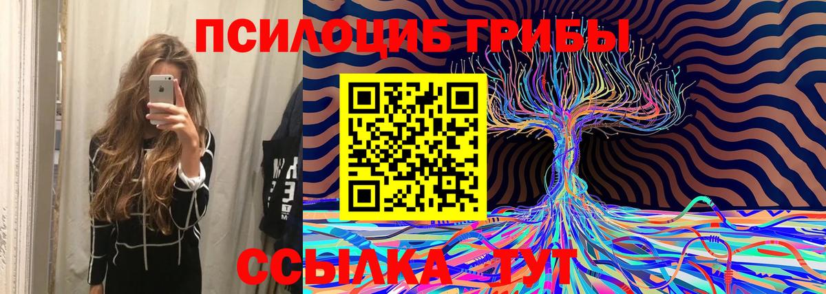 Псилоцибиновые грибы MAGIC MUSHROOMS Липецк